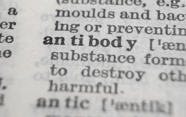 Antibody dictionary definition close-up. Shallow depth of field.