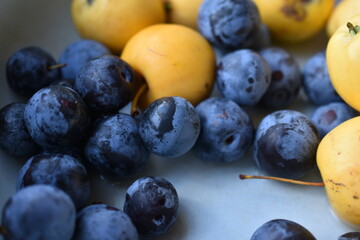 Plums and yellow apples close-up in a plate