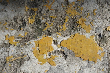 old wall with yellow paint, copy space
