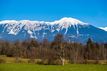 Fototapeta na wymiar Winter morning in the mountains. Triglav National Park. Julian Alps in Slovenia, Europe