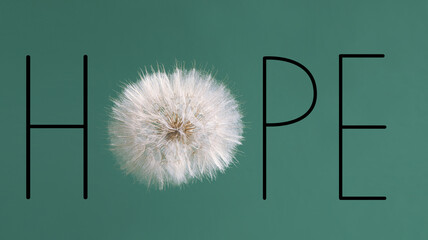 Word HOPE made with letters and dandelion flower on green background