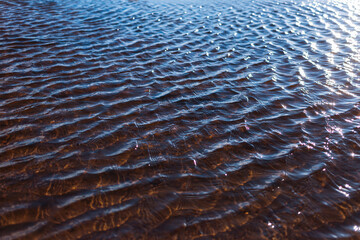 Ripples on the surface of the water on a sunny day. Glare on the water. Background, small waves.