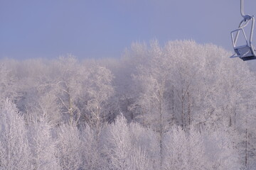 Snow-covered trees in hoarfrost at a ski resort, lift, funicular, ski lift
