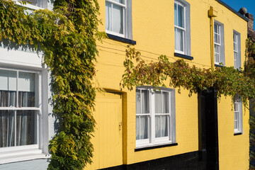 A pretty yellow brick house with sash windows and grape vines hanging on the exterior walls on a sunny day.