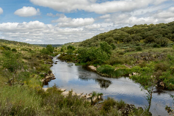 Fototapeta premium Espacio natural de interés ornitológico ZEC Río Almonte en la Red Natura de Extremadura. Río natural con vegetación de ribera y encinar en dehesa.