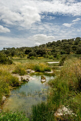 Espacio natural de interés ornitológico ZEC Río Almonte en la Red Natura de Extremadura. Río...