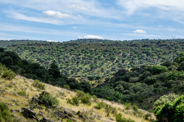 Fototapeta na wymiar Parque nacional de Monfragüe en Extremadura España en primavera dehesas y paisaje natural