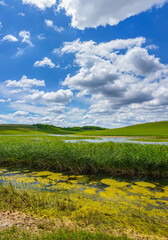 Lake and green fields - blue sky landscape