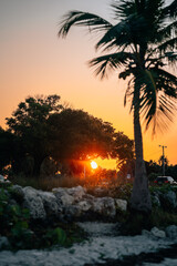 Fototapeta na wymiar sunset on the beach palms sun sky tropical Miami Florida usa island paradise 