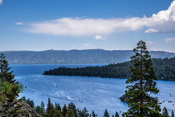 Boats on Lake Tahoe Through Conifer Pine Tree Branches