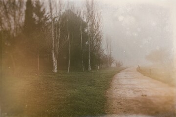 Obraz na płótnie Canvas l calm landscape with road in misty gray winters day