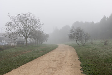 Fototapeta na wymiar l calm landscape with road in misty gray winters day