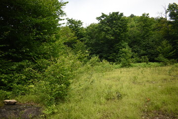 Mont Glenn 17 Juillet 2021