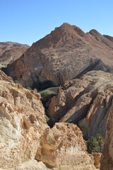 Atlas mountains near the Chebika oasis in west Tunisia, Africa. Whie, yellow, orange and brown rocks and blue sky.	Green palm trees in the canyon