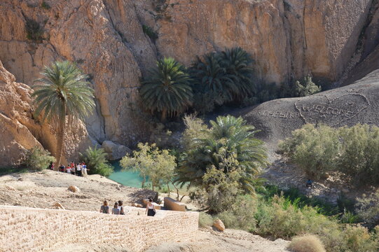 Mountains and palm trees and pool in Chebika oasis,  western Tunisia, Africa.  Whie, yellow, orange and brown rocks, green palm trees, turquoise water