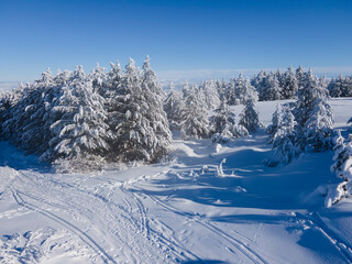 Obraz premium Aerial Winter view of Vitosha Mountain, Bulgaria