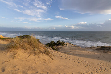 Mazagon beach, in the province of Huelva, Spain. One of the most beautiful beaches in Spain. Concept of going to the most beautiful places on vacation.
