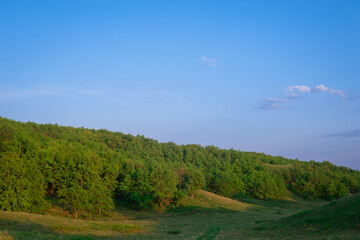 Fototapeta na wymiar Sky and hills with green trees.