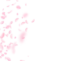 Sakura petals falling down. Romantic pink flowers gradient. Flying petals on white square background. Love, romance concept. Vibrant wedding invitation.