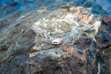 Glass Beach in Fort Braggs California