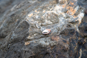 Glass Beach in Fort Braggs California