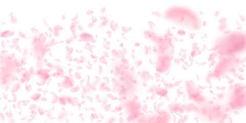 Sakura petals falling down. Romantic pink flowers gradient. Flying petals on white wide background. Love, romance concept. Pleasing wedding invitation.