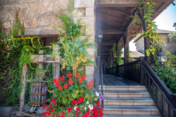 Nappa Valley Vineyards and Grapes