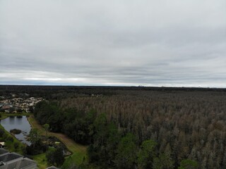 Aerial view of forest and community in Tampa in Florida, USA	
