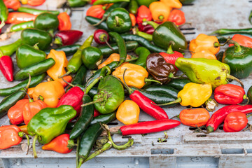 Assortment of green, yellow, red, and orange chili peppers.