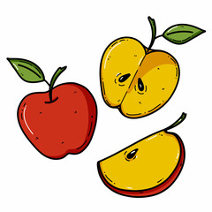 Vector apple doodle illustration. Fruit illustration for farm market menu. Healthy food design