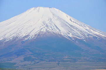 Fototapeta na wymiar 山中湖村パノラマ台より望む春の富士山 