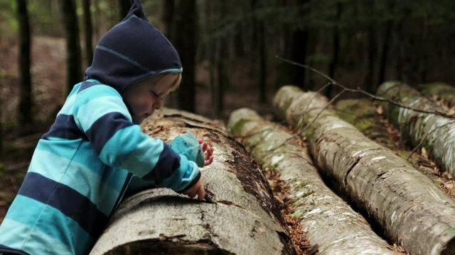 Young boy cutting the bark of a log with a Swiss army knife. Shot in slow motion on an overcast day