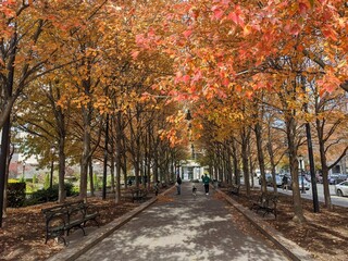 Fall in Manhattan, New York, NY - November 2021