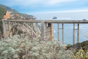Flowers by Bixby Bridge Along the Pacific Coast Highway in California