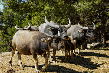 Travel moments Spain