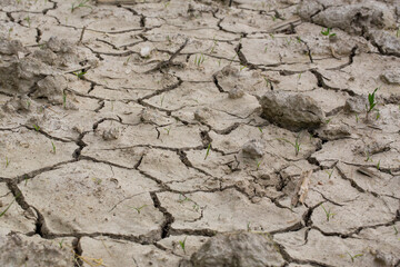 environmental protection, view from above on a dried out piece of land with just a few blades of grass