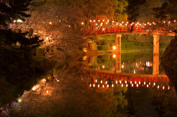 夜桜と赤い橋