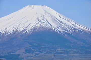 Fototapeta na wymiar 鉄砲木ノ頭の山頂より望む春の富士山 
