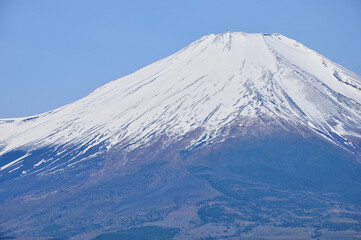 Fototapeta na wymiar 鉄砲木ノ頭の山頂より望む春の富士山 