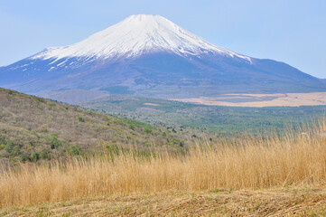 Fototapeta premium 鉄砲木ノ頭の山頂より望む春の富士山 
