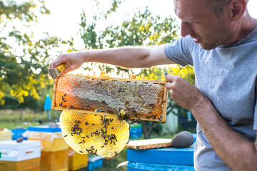 Open hive with bees drew nice straight comb on this foundation-less frame . light comb was used for...