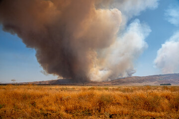 Fototapeta na wymiar Wildfire in the California Wilderness