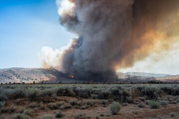 Wildfire in the California Wilderness