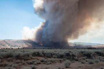 Wildfire in the California Wilderness