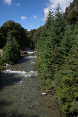 View of Casa de Piedra river flowing across the mountain and pine trees forest in a sunny day. 