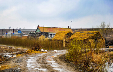 In early spring, the rural landscape of northeastern China includes farmyards, fields, ponds and ducks.