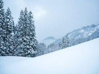 真冬の雪山の風景