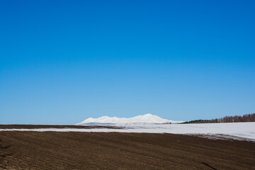 Fototapeta na wymiar 残雪の残る畑と雪山と青空　大雪山 