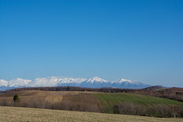 春の丘陵畑作地帯と雪山　十勝岳
