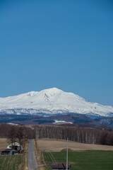 Fototapeta premium 春の丘陵畑作地帯と残雪の山並み 大雪山 